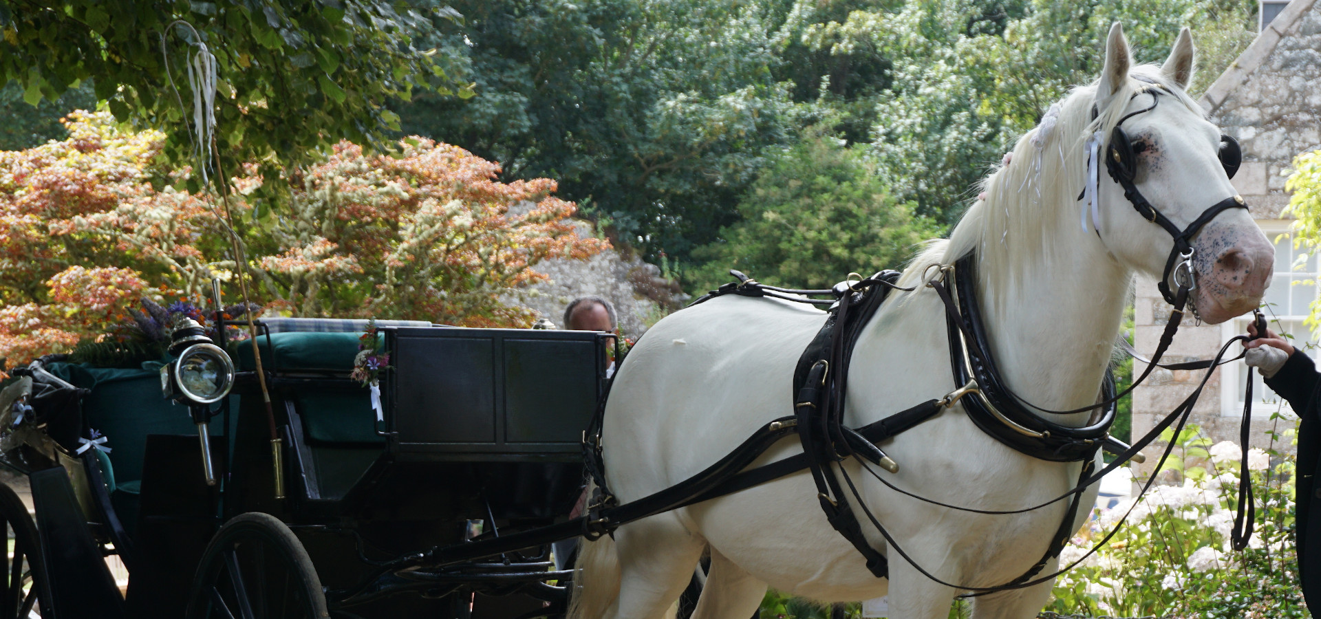 Sark Weddings