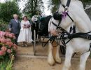 sarkcarriage1