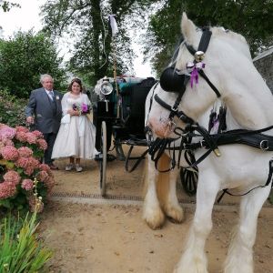 sarkcarriage1