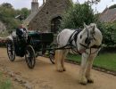 sarkcarriage2