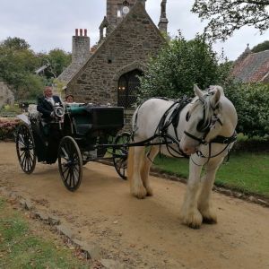 sarkcarriage2