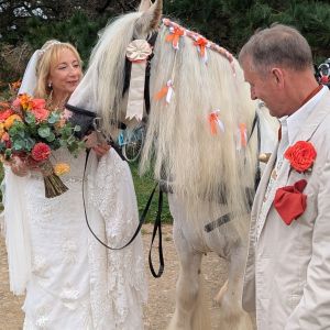 sarkcarriage386