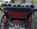 sarkcarriage4