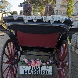 sarkcarriage4