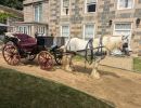sarkcarriage5