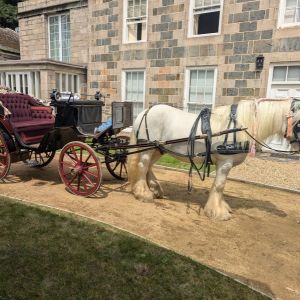 sarkcarriage5