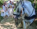 sarkcarriage6