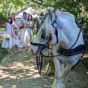 sarkcarriage6
